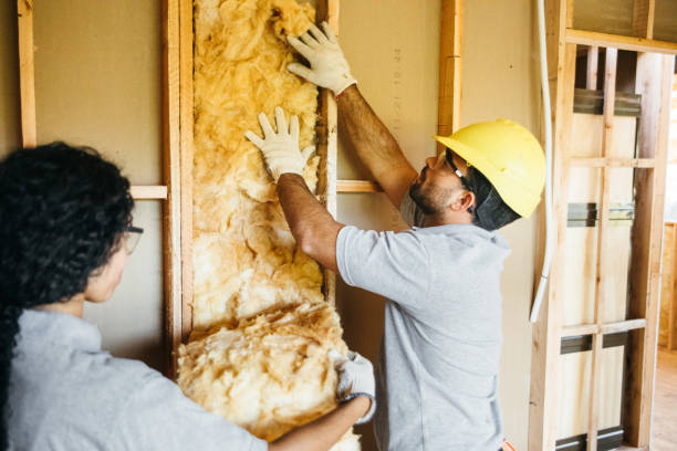 Best Insulation for New Construction  in Picture Rocks, AZ