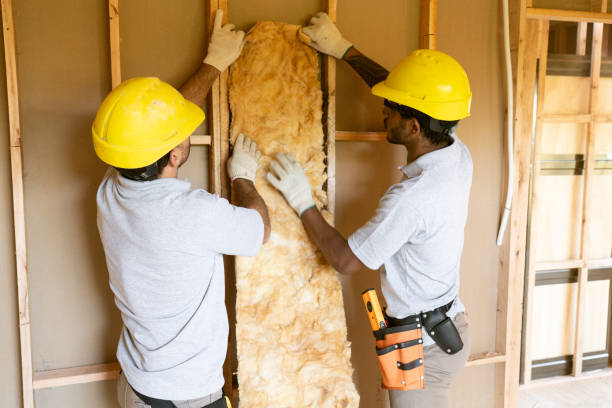 Best Eco-Friendly or Green Insulation Solutions  in Picture Rocks, AZ