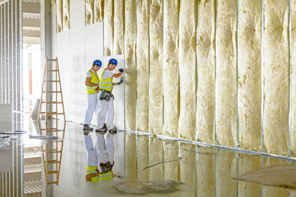 Types of Insulation We Offer in Picture Rocks, AZ